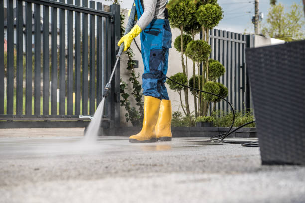 Best Fence Cleaning  in Wlowbrook, IL